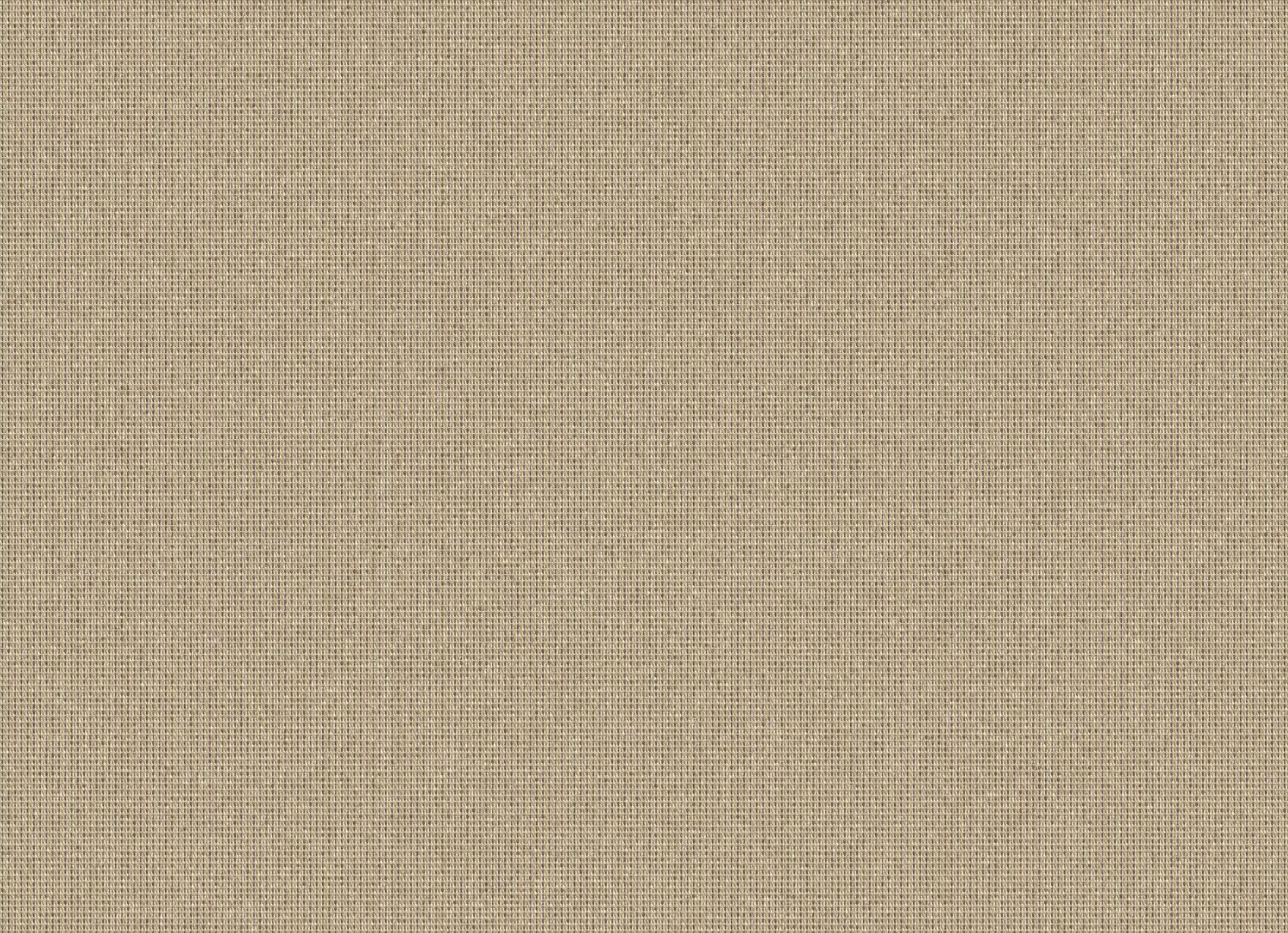 Solid Colour Swatch